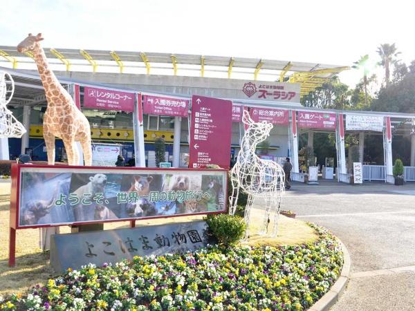 横浜市旭区中尾1丁目の中古一戸建て(よこはま動物園ズーラシア)