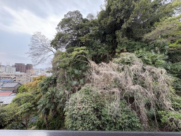 パークハイム南軽井沢