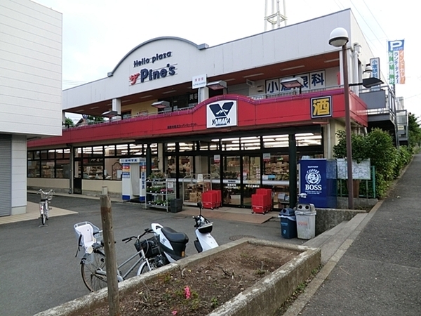 ダイアパレス湘南ライフタウン(やまか遠藤店)