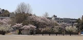 横須賀市坂本町6丁目の土地(横須賀市立坂本中学校)