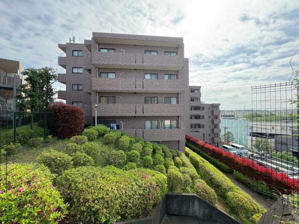 ルピナス四季の森公園