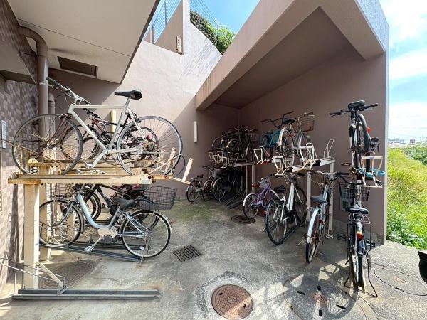 ルピナス四季の森公園