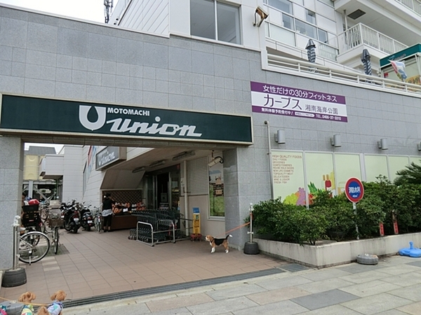 ライオンズタワー片瀬江ノ島(もとまちユニオン鵠沼店)
