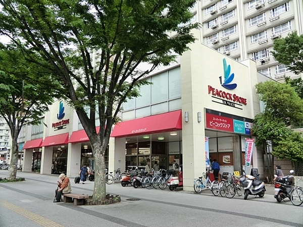 横浜市磯子区洋光台1丁目の土地(ピーコックストア洋光台店)