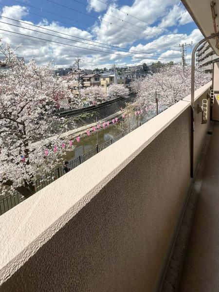 ナイスアーバンプラザ弘明寺