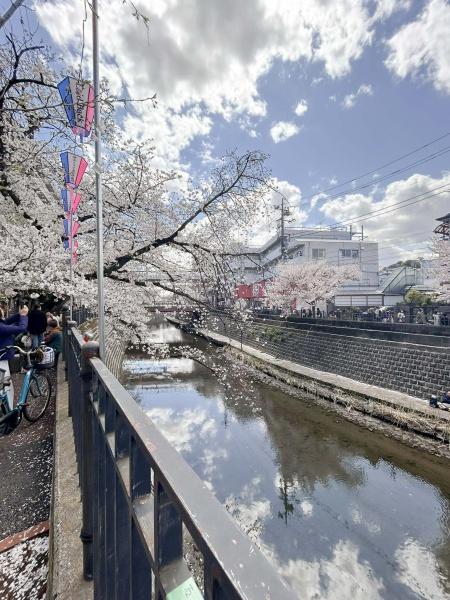 ナイスアーバンプラザ弘明寺