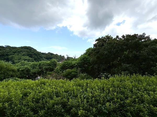 よこすか四季の街パークヒルズ詩の丘２番館
