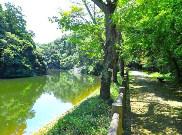 鎌倉市今泉台7丁目の中古一戸建て(散在ガ池森林公園)