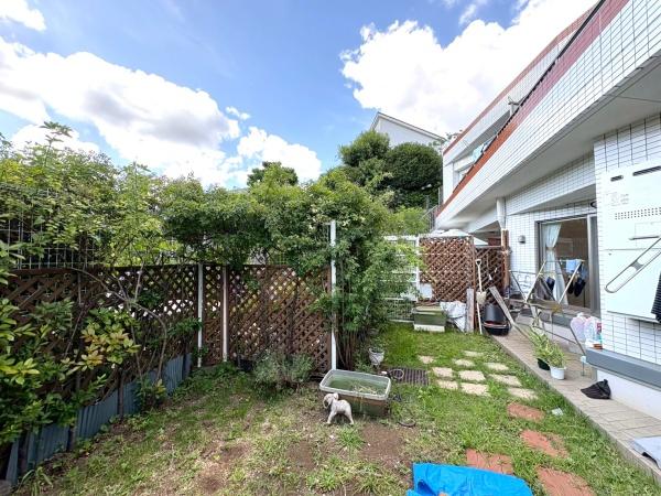 アデニウム玉川学園