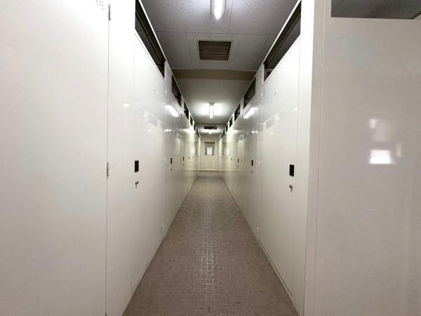 アデニウム玉川学園