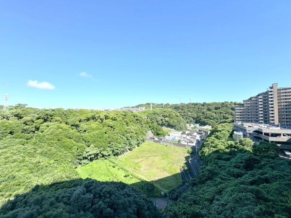 アイビーヒルズ久里浜四番館