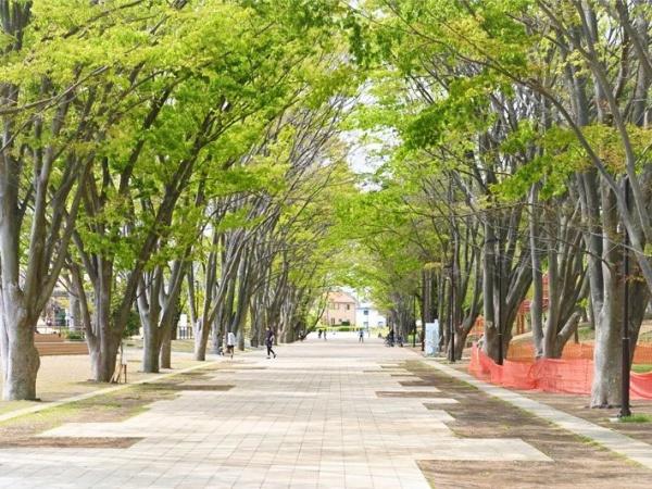 町田市鶴間６丁目の中古一戸建て(鶴間公園)