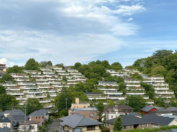 ゆりが丘ヴィレッジ10号棟