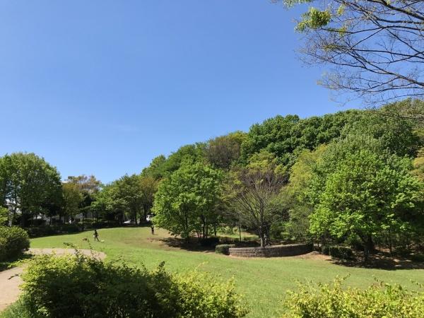 横浜市都筑区桜並木の土地(茅ケ崎公園)