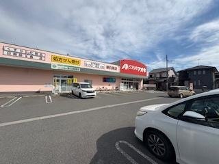 ルネグランテラス(クスリのアオキ)