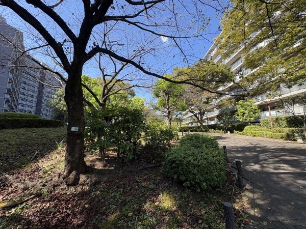 横浜星の丘ビューシティB棟