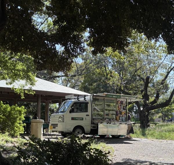 横浜星の丘ビューシティB棟