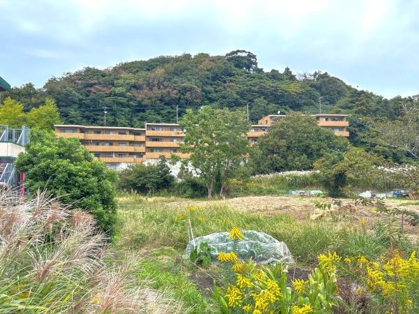 ナイスステージ葉山