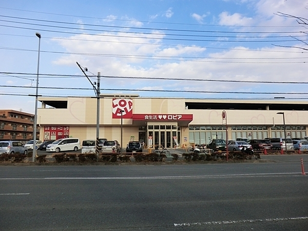 藤沢市円行1丁目の中古一戸建て(ロピア石川店)