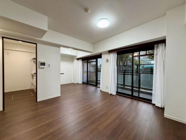 ナイスアーバン新川崎ステイツ