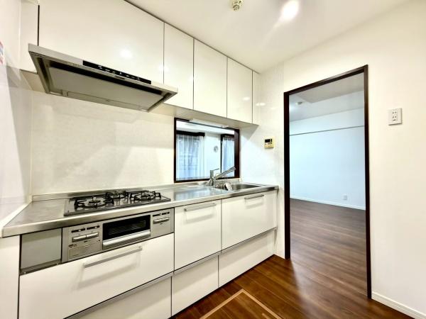 ナイスアーバン新川崎ステイツ