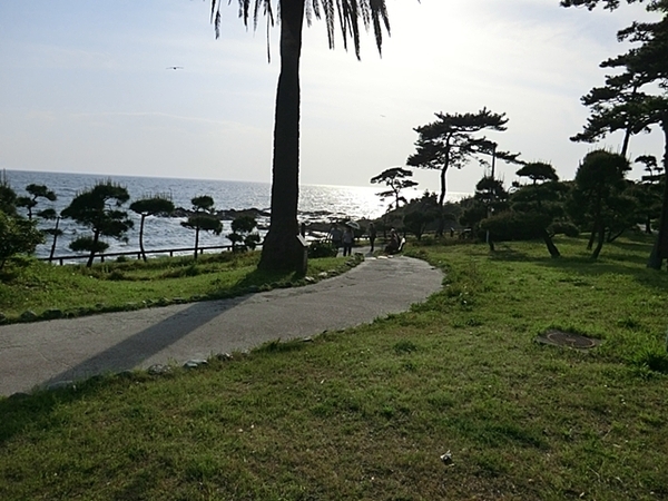 ライオンズマンション湘南秋谷(立石公園)