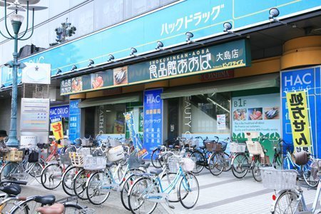 ダイアパレス川崎浜町(食品館あおば大島店)