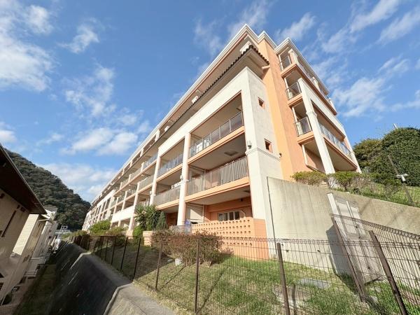 アデニウム葉山一色