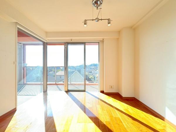 アデニウム葉山一色