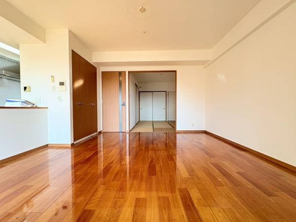 アデニウム葉山一色