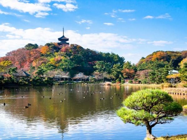 横浜市中区本牧元町の中古一戸建て(三溪園)