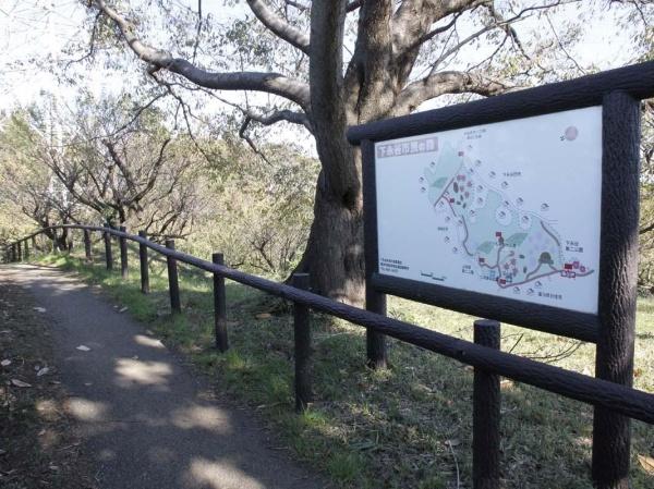 横浜市戸塚区上柏尾町の新築一戸建(下永谷市民の森)