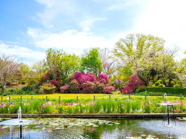 グランシティ鎌倉植木の杜(大船フラワーセンター)