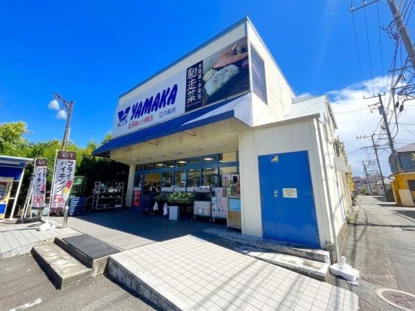 藤沢市片瀬３丁目の土地(やまか江の島店)