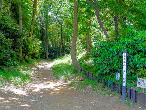 横浜市神奈川区西寺尾１丁目の新築一戸建(東寺尾ふれあい樹林)