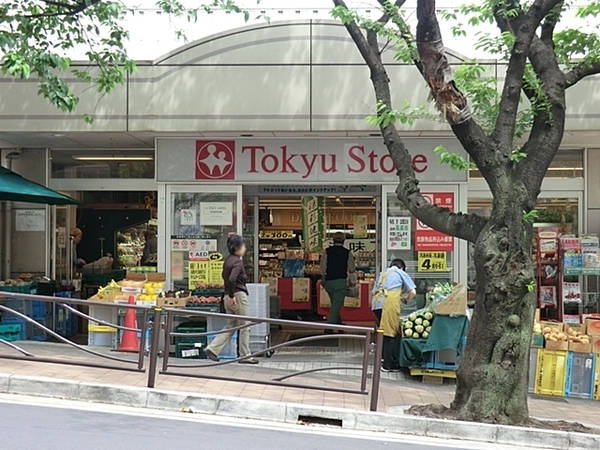 ニューウェルテラス宮前平Ｃ棟(東急ストア宮崎台店)