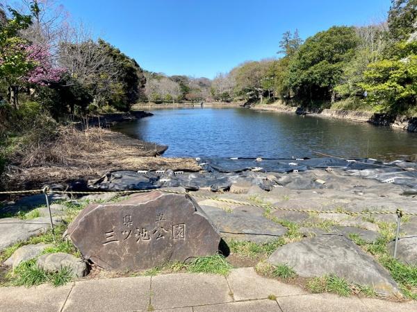 三ツ池ハイツC棟(三ツ池公園)