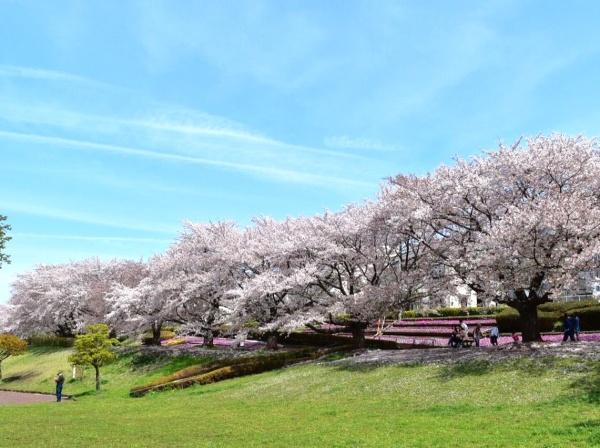 座間市相武台３丁目の中古一戸建て(かにが沢公園)