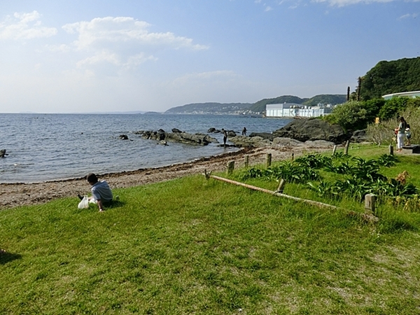 パシフィックヴィラ佐島(佐島公園)