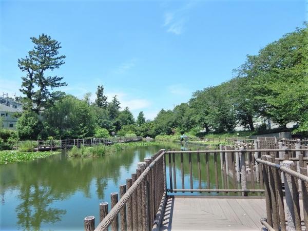 横浜市港北区篠原台町の土地(白幡池公園（篠原園地）)