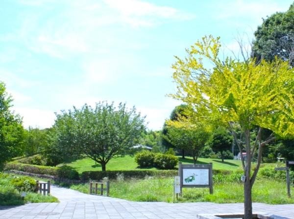 横浜市戸塚区小雀町の中古一戸建て(小雀公園)