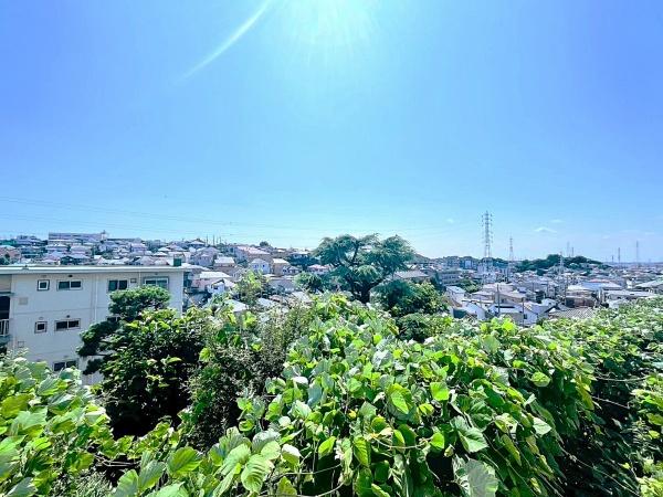 三ツ池ハイツD棟