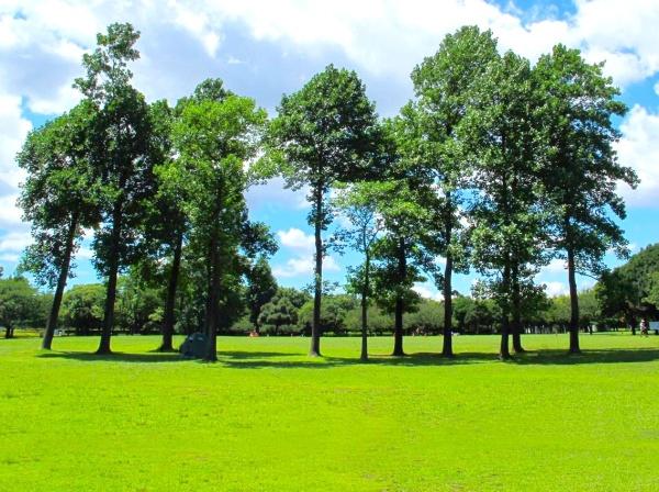 横浜市港北区篠原東２丁目の新築一戸建(岸根公園)