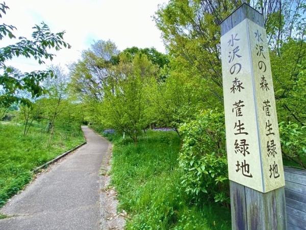 フェリストたまプラーザ壱番館(水沢の森)