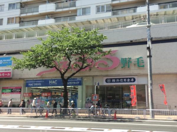 エクシル伊勢佐木(ハックドラッグ野毛店)
