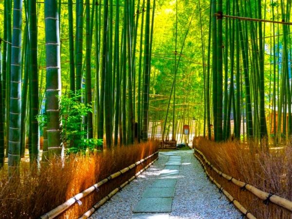 鎌倉市二階堂の中古一戸建て(報国寺)