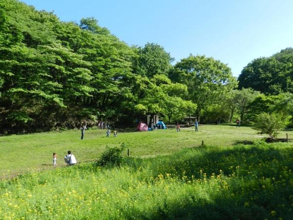 横浜市旭区都岡町の新築一戸建(四季の森公園)