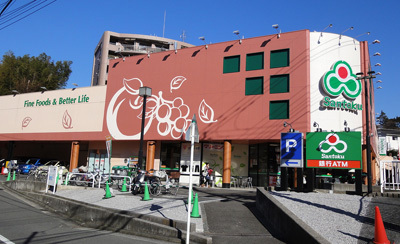 クリオ綱島六番館(スーパーマーケット三徳高田店)