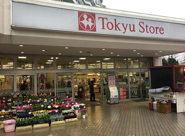 相模原市南区相南3丁目の中古一戸建て(東急ストア東林間店)