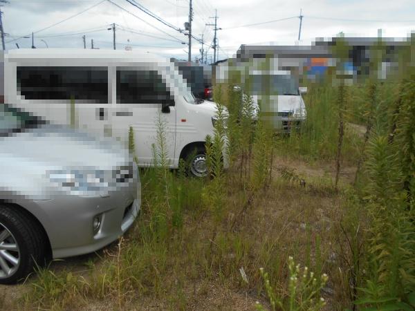 北葛城郡河合町大字川合の土地